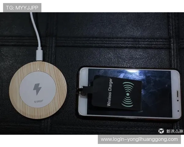 永利304官方入口安全登录指南，保障您的账户信息安全与便捷体验