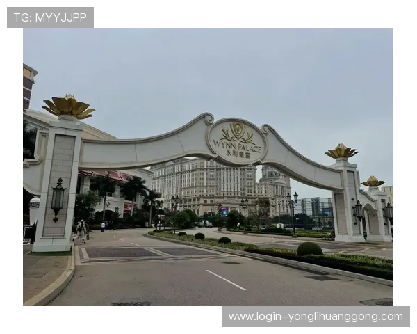 永利皇宫有限公司：如何实现品牌持续增长与市场扩展