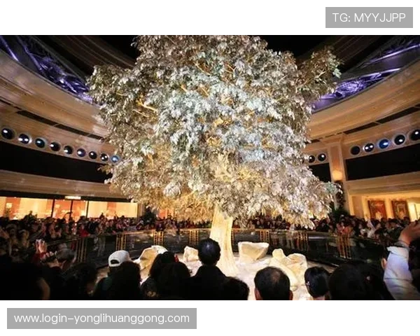 澳门永利国际品牌历史与发展历程,了解其在博彩行业的卓越地位 澳门永利国际品牌历史与发展历程,了解其在博彩行业的卓越地位