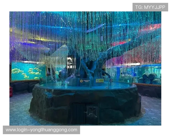 回力海立方娱乐场新手注册流程及快速入门攻略全方位指导