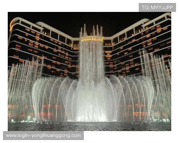 永利皇宫网址合集2024最新版本,确保玩家畅玩无忧的官方入口导航指南 永利皇宫网址合集2024最新版本,确保玩家畅玩无忧的官方入口导航指南