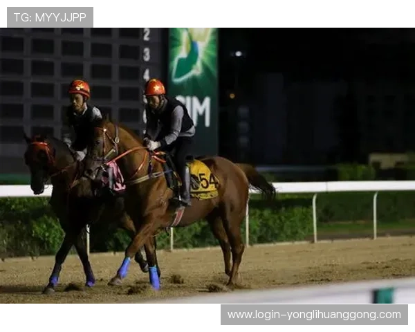 深入挖掘澳门赛马会赛事资讯背后的精彩故事与赛事亮点