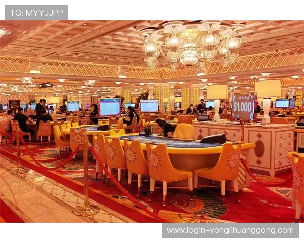 澳门永利皇宫豪赌历史与发展，揭秘这座豪华赌场的辉煌过去与未来规划