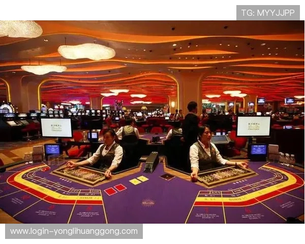 澳门豪赌客的社交圈：豪赌背后的高端人脉关系揭秘