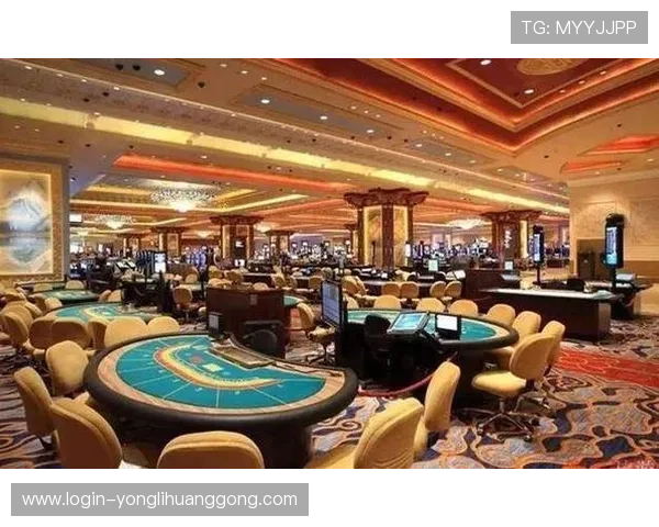 澳门赌厅数量最新统计数据，了解各大赌场的赌厅规模和布局情况