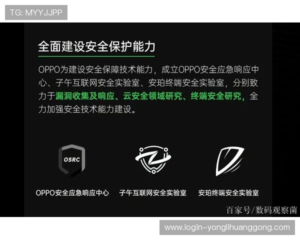 英皇在线登录安全保障措施解析确保玩家账号信息安全与隐私保护
